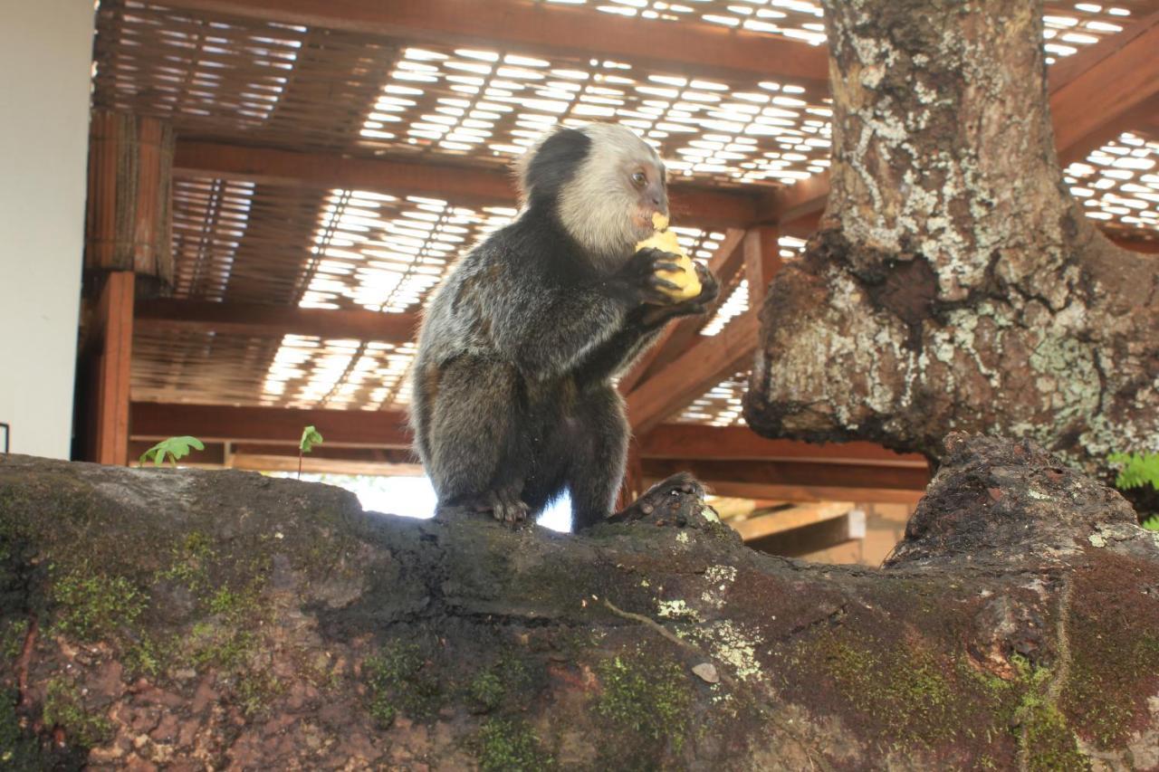 Pousada Aroeira Caraiva Luaran gambar