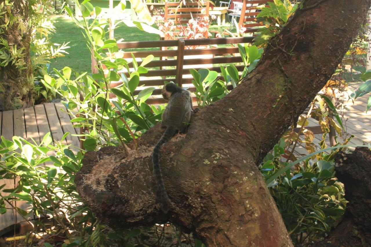 Pousada Aroeira Caraiva Luaran gambar